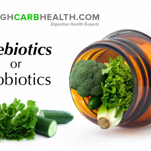 Prebiotics Vs Probiotics – The Importance of Fibre for Healthy Gut Bacteria