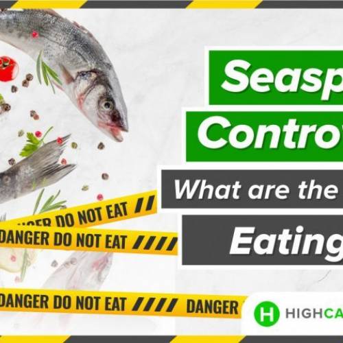 The Seaspiracy Controversy: What are the Dangers of Eating Fish?